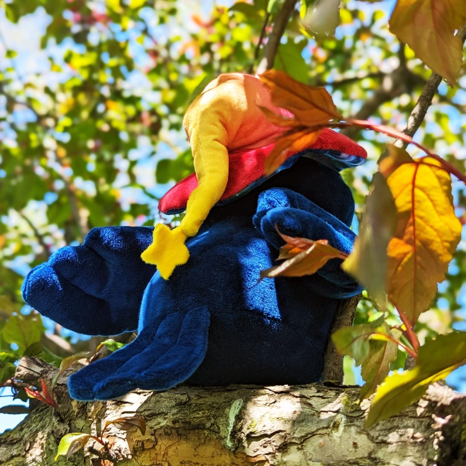 Photograph of Ikarus the Raven Witch Plush from behind in a tree during autumn.