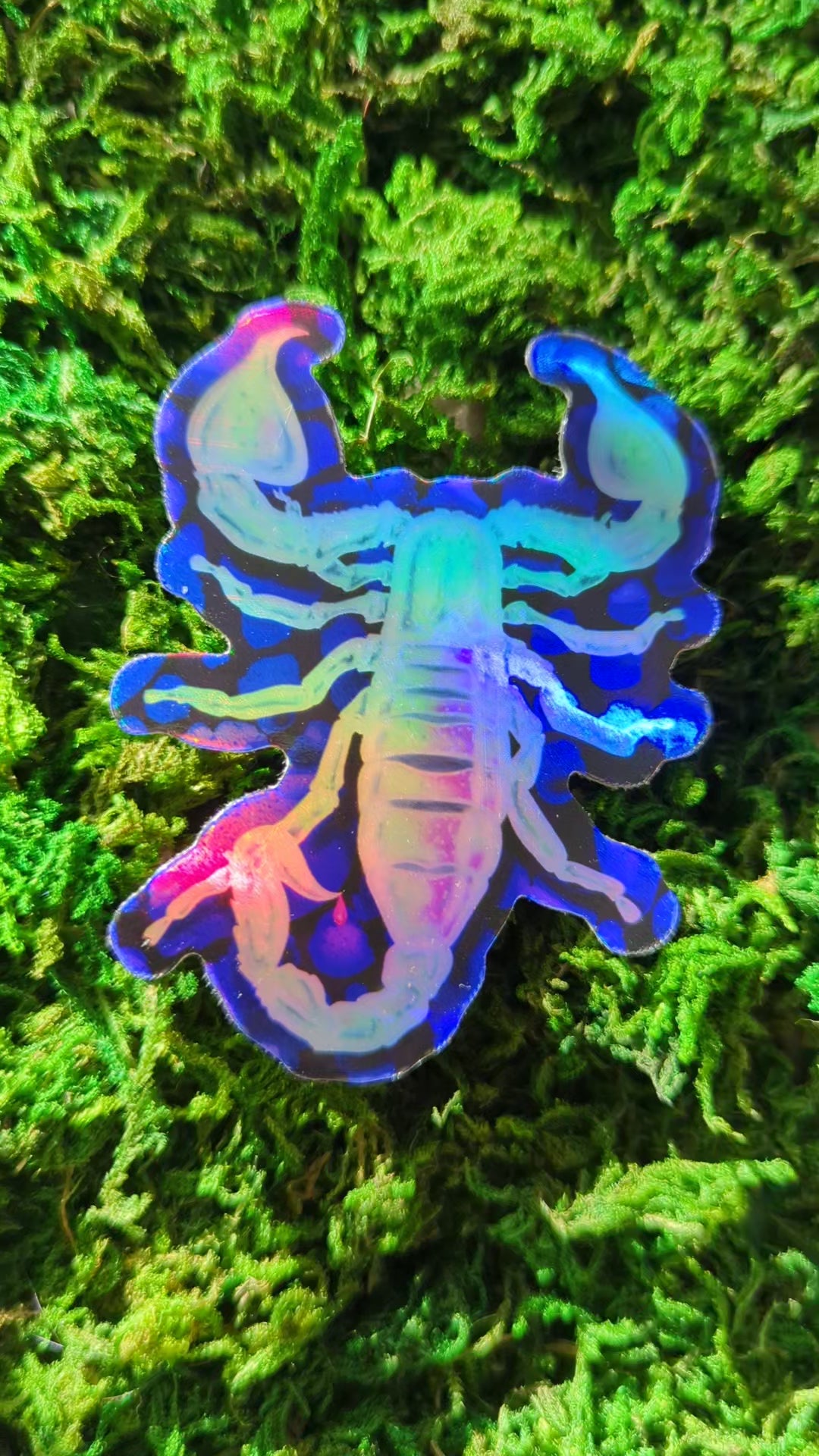 Video of a mossy background with a holographic vinyl sticker of a blacklight scorpion. The video shows how shiny the holographic effect is.