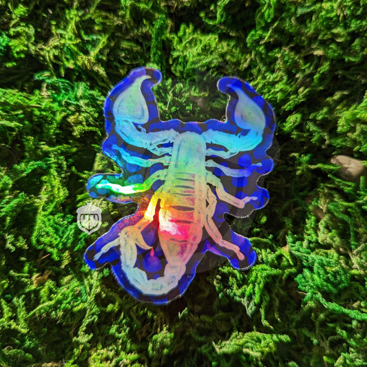 Photograph of a mossy background with a holographic vinyl sticker of a scorpion under blacklight.