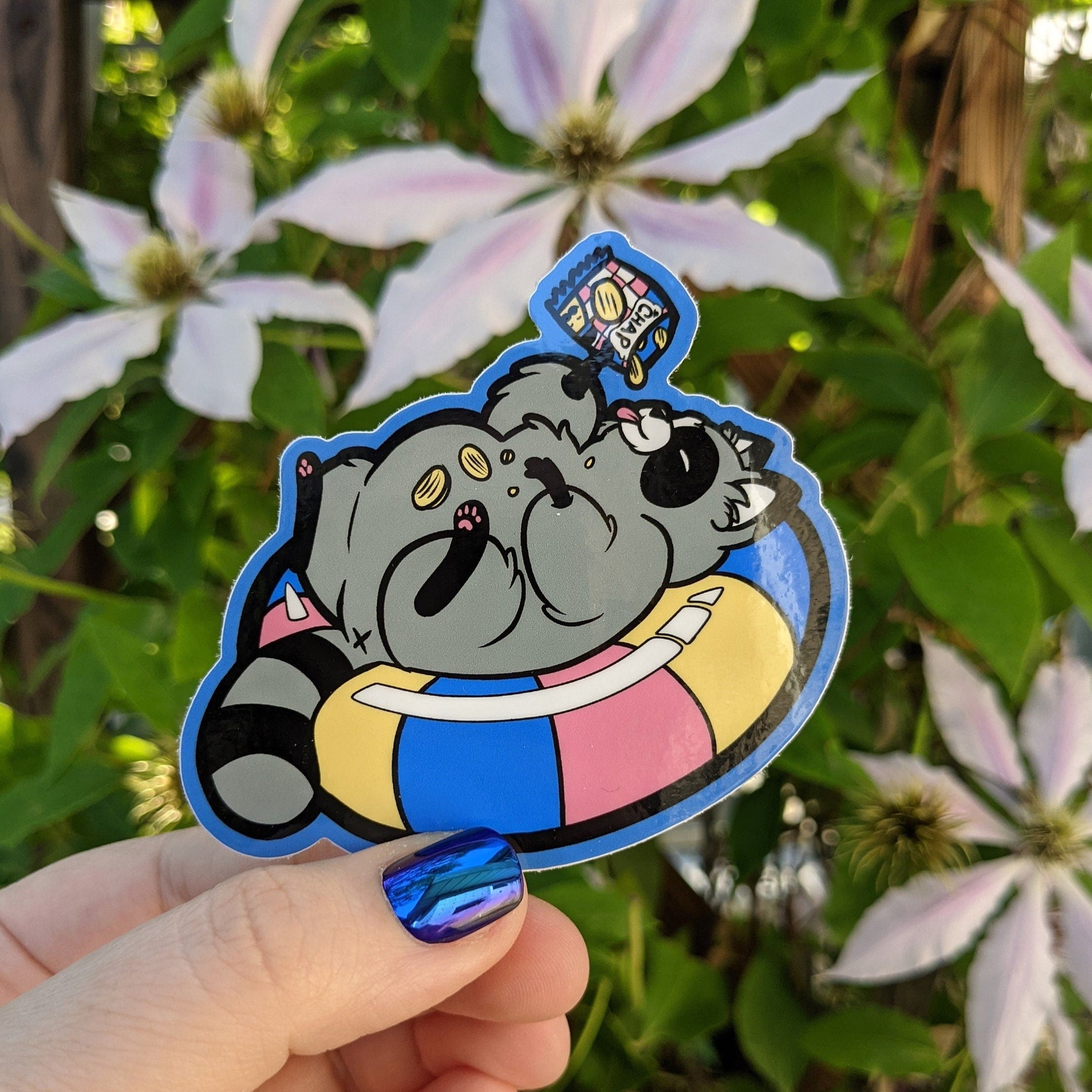 A photograph of a vinyl sticker being held in front of a clematis plant. The vinyl sticker is a raccoon in a floaty while eating chips.
