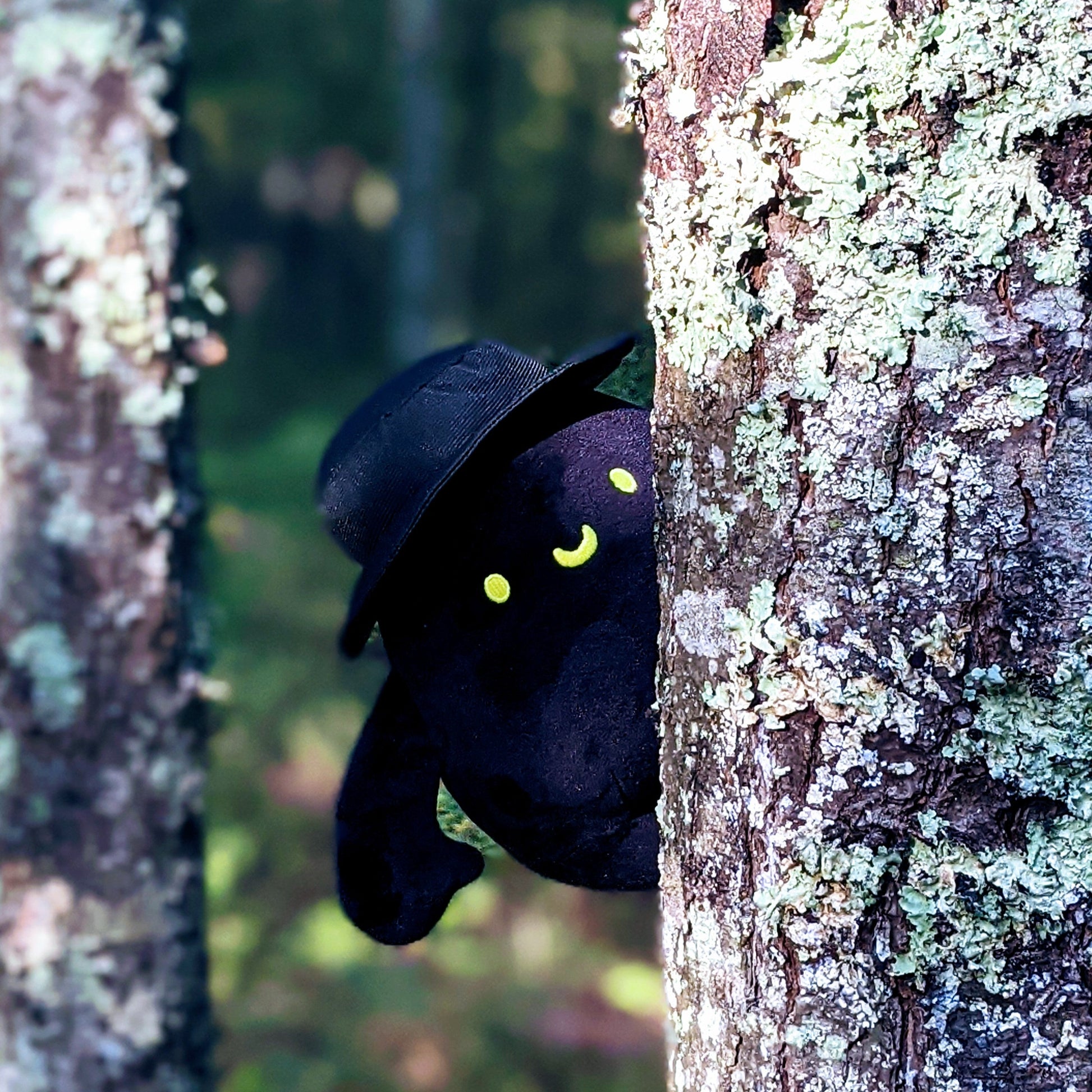 Photograph of Mr. Hat Plush Toy peeking behind a tree covering in lichen.