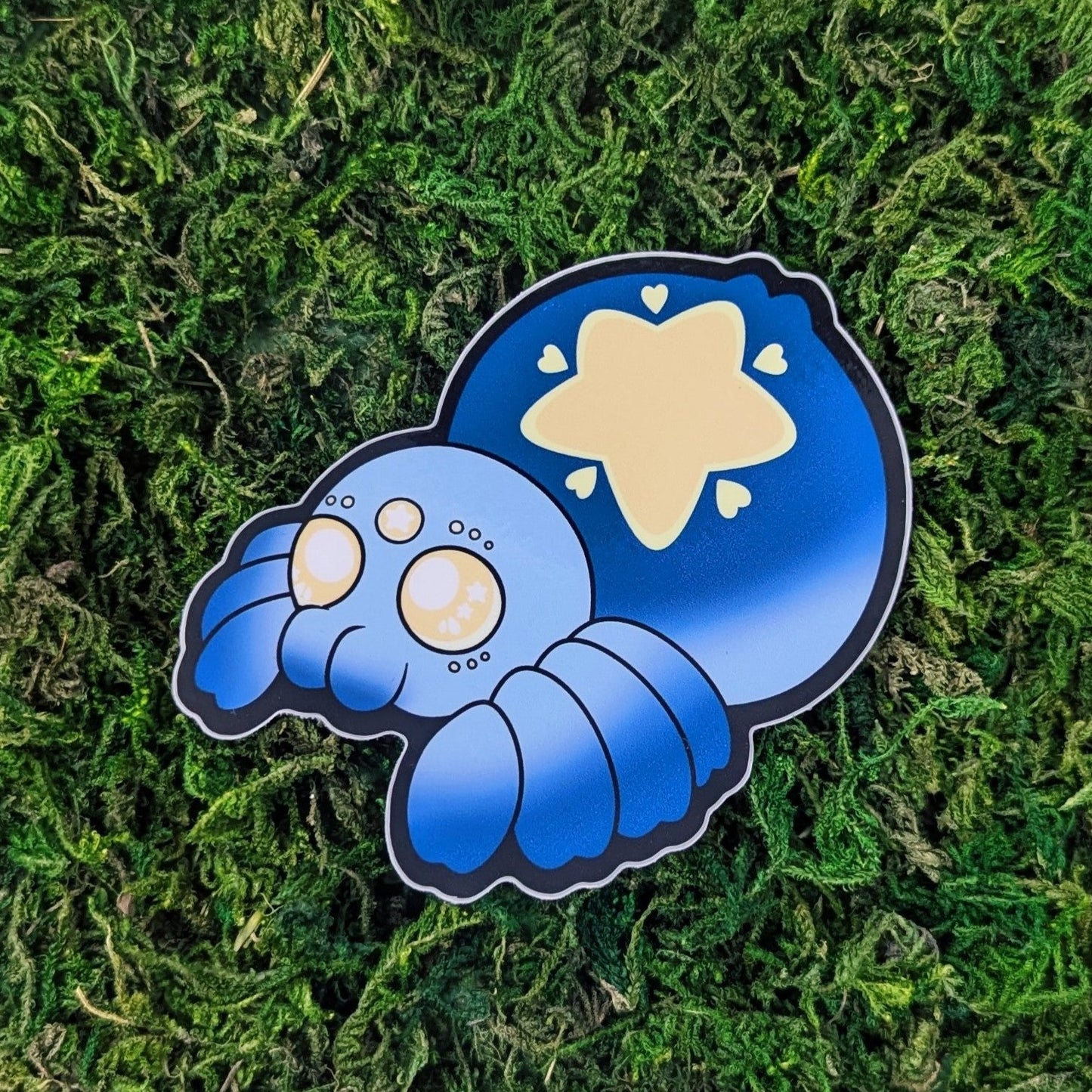 Photograph of a mossy background with a vinyl sticker of a blue spider with yellow eyes and a big yellow star on its butt.