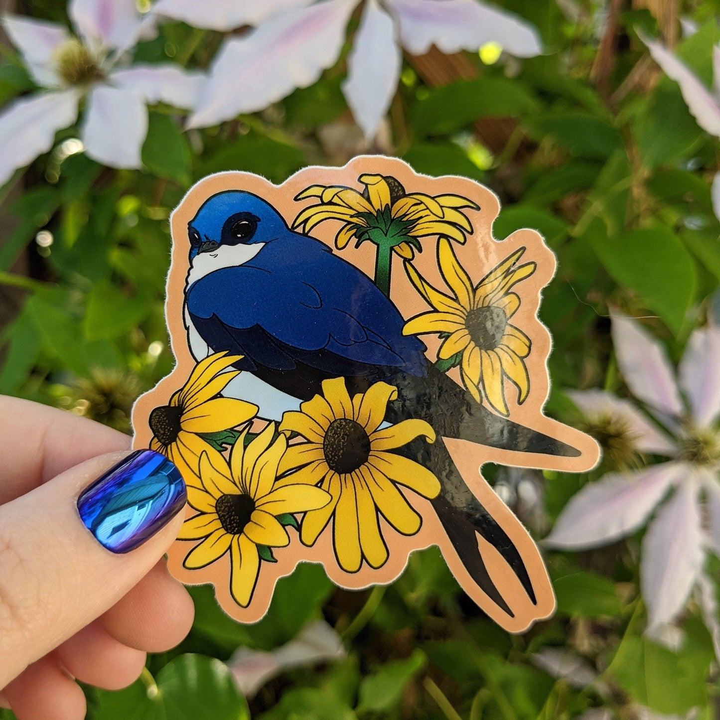 A photograph of a sticker being held in front of a clematis plant. The sticker features a blue swallow bird hanging out with some black eyed susan flowers.